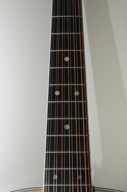 Martin D-12-35L